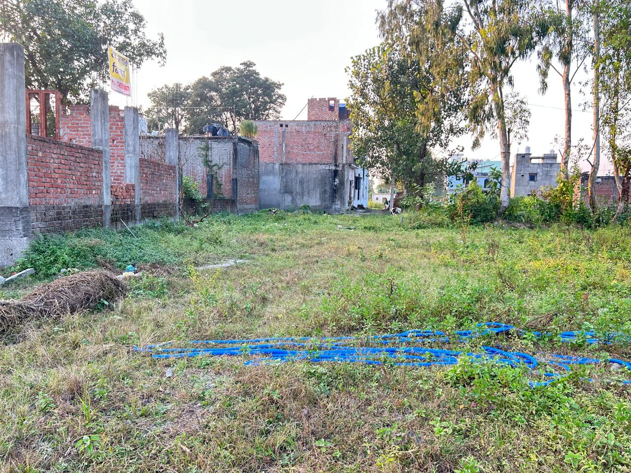 Premium Selaqui Properties for Residential & Investment Needs